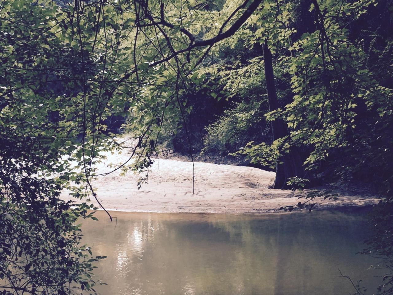 The River Chalet Folsom Esterno foto